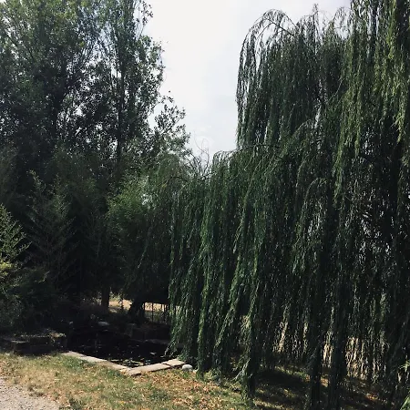 Il Biancospino Alloggio per agriturismo Casteggio